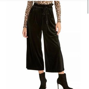 NWT Rachel Roy Velvet Pants Eggplant